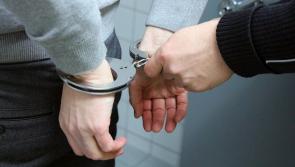 Offaly politician thinks we need to get tougher on our criminals 