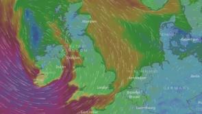 Storm Eleanor brings trees and wires down in Offaly 