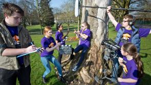 Fresh Film Festival: Is Ireland's Young Filmmaker of the year from Offaly? 