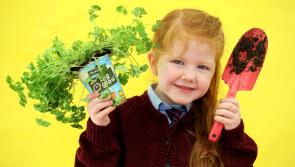 Offaly schools invited to apply for free GIY packs 
