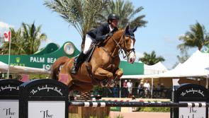 Offaly showjumper wins again and leads Ireland to podium finish 