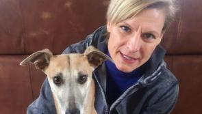 Offaly animal welfare activist reacts after 'barbaric killing' of dog in Midlands 