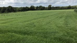 Important farm events in Kilkenny