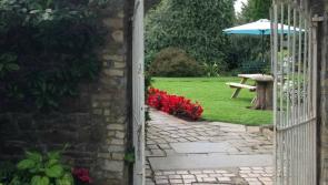Birr's County Arms Hotel offers idyllic wedding setting 