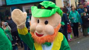 Recently saved Edenderry St. Patrick's Day receives 2018 launch 
