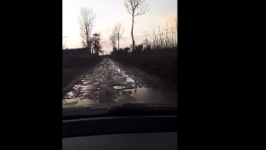 WATCH: Is this road in Killeigh the worst in Offaly? 