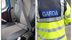Lorry driver in Offaly stopped and fined by garda&iacute; in bizarre circumstances