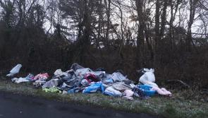 Illegal dumping crackdown long overdue in Offaly 