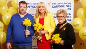 People of Offaly urged to support Daffodil Day