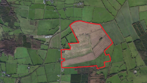 The price of land in Offaly is on the rise 