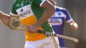 12 man Offaly suffer heavy defeat at the hands of Wexford