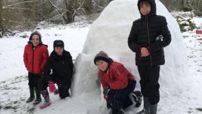Offaly children build igloo as they prepare for Storm Emma