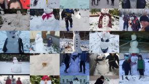 VOTE: Vote now to choose the Best Snowman in Offaly