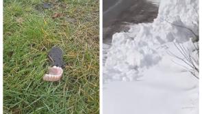 You'll never guess what's been found under the melting snow in Offaly 