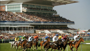 THE PUNTER'S EYE: Aintree Grand National 2018 Tips and Race Preview 