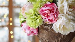 Offaly deaths and funerals (May 14)