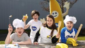 Offaly people asked to go bananas for Temple Street 