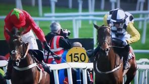 Offaly Express owner's horse wins Grade 1 hurdle at Punchestown 