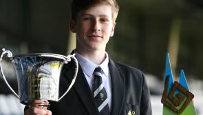 Offaly student wins overall prize at National Enterprise Awards 