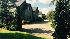 The search is on to find Edenderry's best kept gardens 