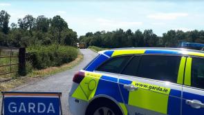 Gardaí appeal for info following serious crash on Roscrea - Templemore road