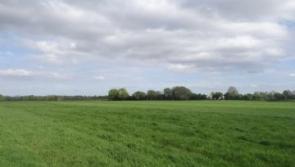 Offaly farm sells for over €1 million during busy auction 