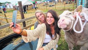 Latest weather forecast for the Tullamore Show from Met Eireann