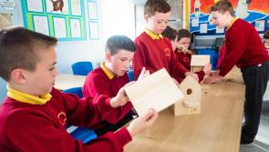 Offaly schools invited to enter Junior Entrepreneur Programme  