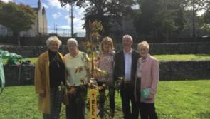 Tree of Hope for suicide prevention planted in Tullamore 