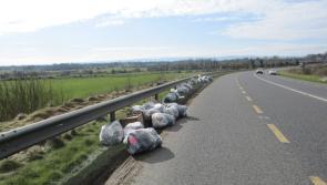 Arrest warrants issued as Offaly County Council goes after illegal dumpers 