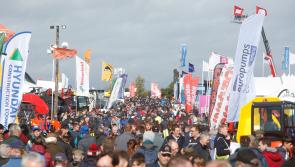 No sod will be left unturned in the Offaly Express virtual ploughing championships
