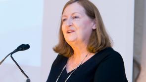 Health and social care professionals in Offaly 'must be registered with CORU'