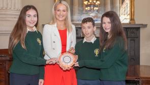 Offaly school receives Ambassador award for third year in a row