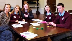 Offaly school attend event tackling teen suicide rate in Ireland