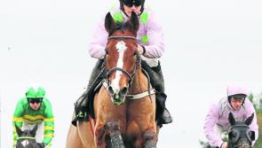Cheltenham results: Day 3 racing, LIVE on Wednesday, March 14, 2019
