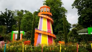 Offaly gardeners encouraged to go for gold at Bloom! 