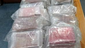 Over €4.6 of cocaine seized by Revenue Officers and gardai