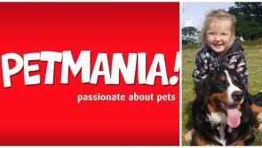 Offaly dog's winning personality shines bright in pet competition 