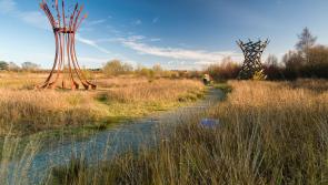 Lough Boora to host Offaly's 'Big Hello' family event
