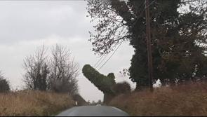 Warning issued with telephone pole hanging perilously over Offaly road 