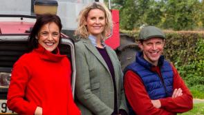 Offaly bog to feature in ammonia TV special 