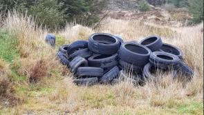 Councils waiting 18 months for rules to use CCTV to detect illegal dumping - Lowry