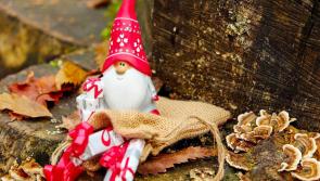 Festive online hub launched for homesick Irish people who can't return for Christmas 