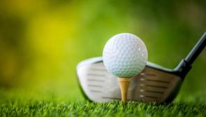 People 'aiming' golf balls at house in the Midlands where 99 roof tiles and Mercedes damaged