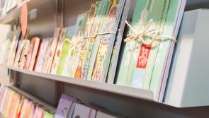 Daingean to host book fair in support of local playground 