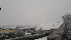 Storm Freya brings surprisingly heavy and persistent snow to Offaly 
