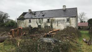 House and land up for sale near Offaly border