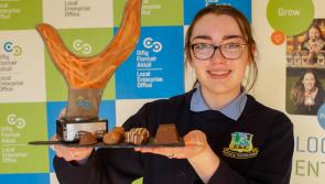 Offaly student to represent county at Student Enterprise National Finals