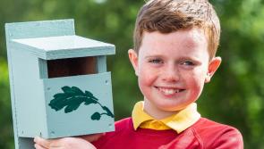 Offaly students complete junior entrepreneur projects 