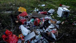 Councillor welcomes use of CCTV by councils to combat illegal dumping